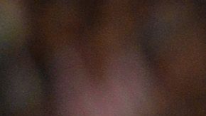 Gallardo festejó de polémica manera el campeonato.