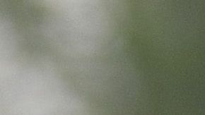 Sebastián Jurado llegó a Cruz Azul en el Clausura 2020.