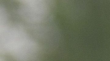 Sebastián Jurado llegó a Cruz Azul en el Clausura 2020.