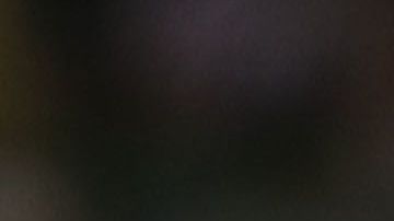 El nombre del jugador desapareció de los registros del presente torneo en el sitio web de la Liga MX.