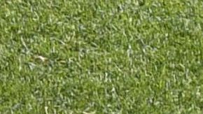 El América en su entrenamiento a puerta abierta en el Azteca.