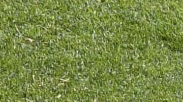 El América en su entrenamiento a puerta abierta en el Azteca.