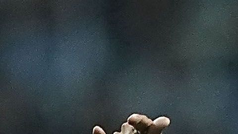 Bruno Valdez presentó molestias en su rodilla.