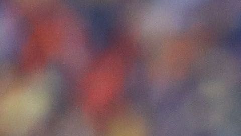 América lidera las apuestas  para coronarse en el próximo torneo.