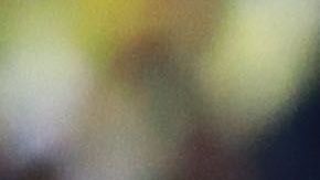 Miguel Herrera se ha caracterizado por sus declaraciones polémicas.