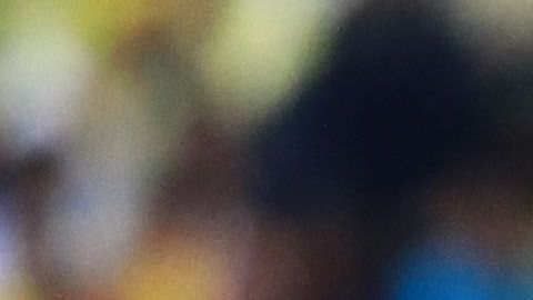 Miguel Herrera se ha caracterizado por sus declaraciones polémicas.