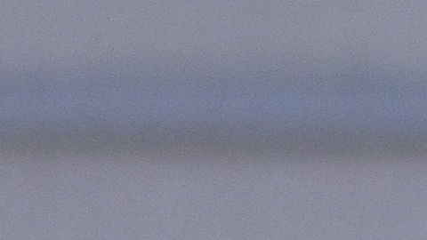 América femenil cumplió 100 partidos.