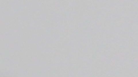 Peláez está siendo criticado por sus plegarias.