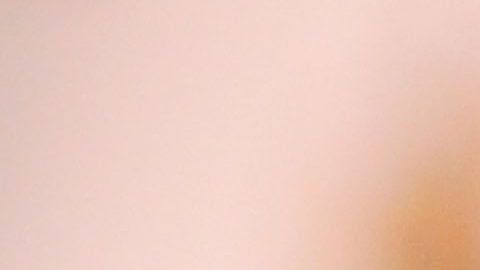 El entrenador tiene a Chivas en la cima.