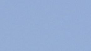 Saucedo fortalecerá la media cancha de los felinos.