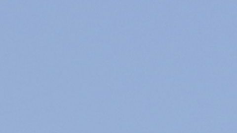 Saucedo fortalecerá la media cancha de los felinos.