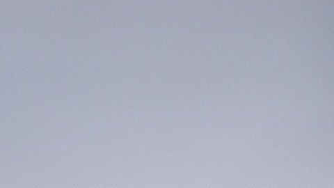 El artillero llegaría al equipo donde juega Tiago Volpi, otro conocido de la Liga MX.
