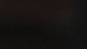 El canino le puso sabor a la primera parte del encuentro.