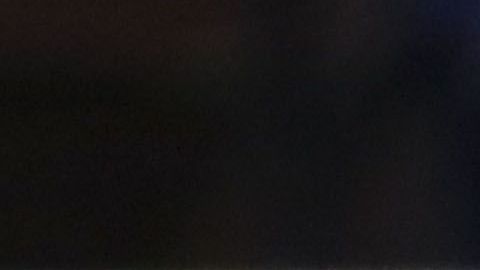 El canino le puso sabor a la primera parte del encuentro.