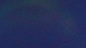 Nico Castillo sigue sin encontrarse en el América.