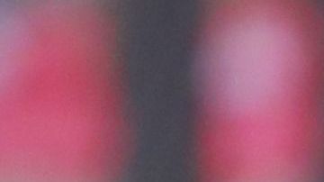 Pese a la goleada que recibió su equipo, el único seguidor presente en la zona visitante en el duelo entre Tijuana y Querétaro se mantuvo al pie del cañón hasta el último minuto del partido.