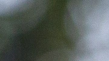 Chicharito ya está más que adaptado a su nueva vida.