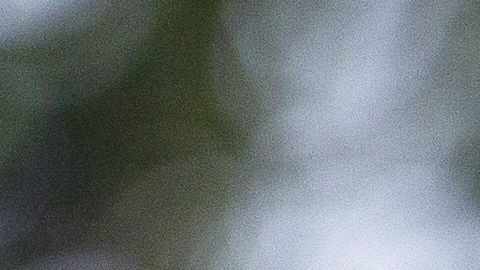 Chicharito ya está más que adaptado a su nueva vida.