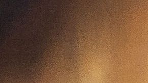 América no entrenó el lunes.