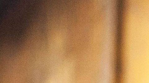 América no entrenó el lunes.