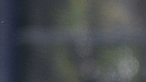 América entrena fuerte de cara a su partidos contra FC Juárez.