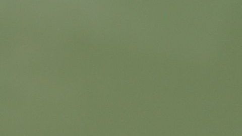 Hay que destacar a los que avanzan.