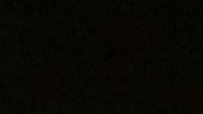 El legendario Anthony Muñoz el miércoles en Miami.