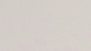 Idalis es entrenadora personal certificada por la Academia Nacional de Medicina del Deporte (NASM).