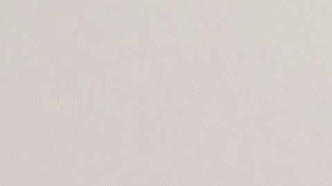 Idalis es entrenadora personal certificada por la Academia Nacional de Medicina del Deporte (NASM).