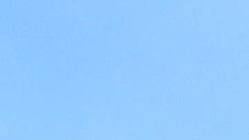 Kangaroo Island (Australia), 05/01/2020.- The carcass of a Kangaroo lies after the area was ravaged by bushfires, on Kangaroo Island, Australia, 06 January 2020. Troops are being deployed to Kangaroo Island to help with bush fire relief, after major fires destroyed large parts of the Island.