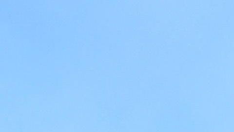 Kangaroo Island (Australia), 05/01/2020.- The carcass of a Kangaroo lies after the area was ravaged by bushfires, on Kangaroo Island, Australia, 06 January 2020. Troops are being deployed to Kangaroo Island to help with bush fire relief, after major fires destroyed large parts of the Island.