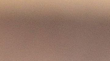 Mantener el sistema digestivo limpio es uno de los hábitos más importantes para mantener un estado óptimo de salud.