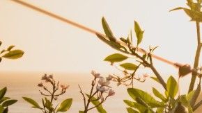 La Generación Z busca hacerse de su casa mucho más jóvenes que los millennials.