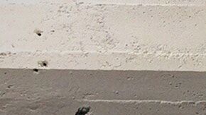 Una de las condiciones es que los chicos estén dispuesto a reunirse con sus familias y las familias con ellos.