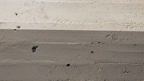 Una de las condiciones es que los chicos estén dispuesto a reunirse con sus familias y las familias con ellos.