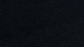 Julián Castro y Elizabeth Warren.