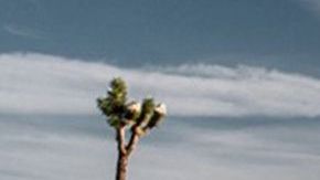 Kia Telluride 2020
Crédito: Cortesía Kia