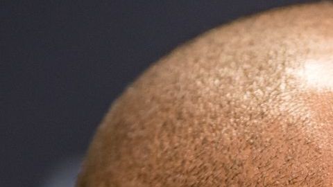 Kobe Bryant y Evan Rachel Wood