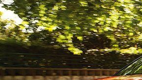 Hyundai Kona
Crédito: Cortesía Hyundai