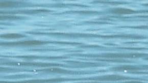 Blanca Guerra desafió el pasado 1 de enero las heladas aguas del Lago Michigan en Chicago. (Javier Quiroz / La Raza)