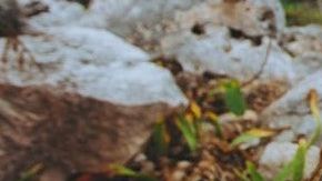 Las playas más paradisíacas del mundo, Tulum / Créditos: 
Roberto Nickson vía Unsplash