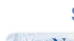 Este documento no es una REAL ID, pero es una licencia de manejo válida.
