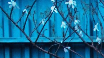 5 lugares en el mundo que debe conocer todo fan de Frida Kahlo / Créditos: Fotógrafo Camila Cordeiro vía Getty