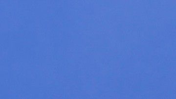 Rojas, de 38 años, es el hijo de Felipe Alou, exmánager de los Expos de Montreal y los Gigantes de San Francisco.