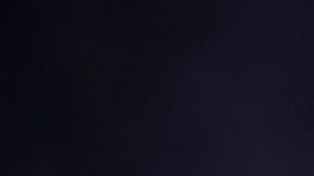 Se espera que este 2020, la empresa tenga grandes ganancias por la publicidad de las elecciones.