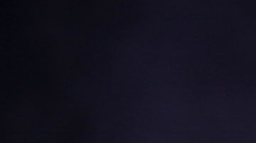 Se espera que este 2020, la empresa tenga grandes ganancias por la publicidad de las elecciones.