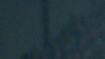 Se reprocha al club no haberse asegurado que sus jugadores se comportaran.