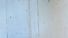 Las mujeres fueron degradadas, supuestamente, como un acto racista.