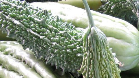 Melón amargo-pxhere