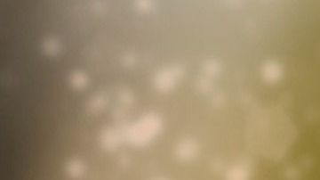 Crédito: Myriam Zilles /Pixabay